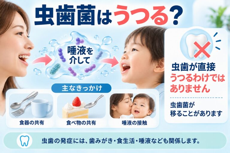 虫歯菌はうつる？｜唾液を介して虫歯菌が移ることがあります