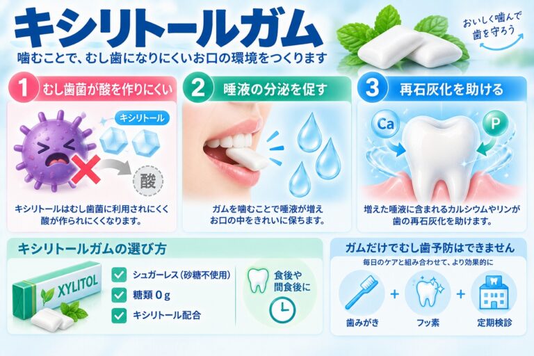 キシリトールガムとは｜噛んで唾液を増やし虫歯予防をサポート