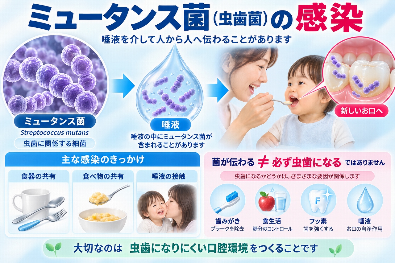 ミュータンス菌（虫歯菌）が唾液を介して人から人へ伝わることがあり、食器や食べ物の共有、唾液の接触などがきっかけになることを示した図