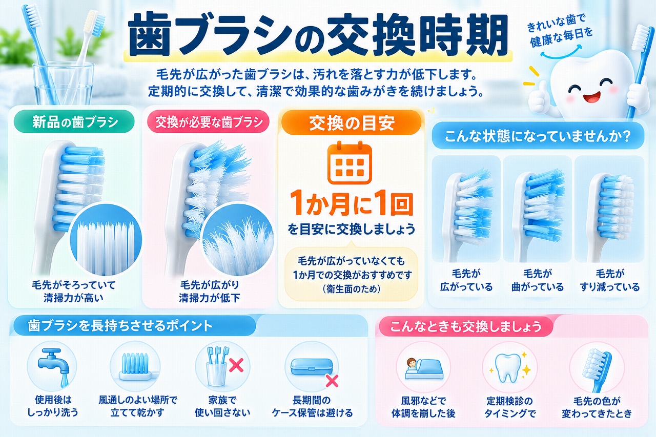 歯ブラシの交換時期について、新品と毛先が広がった歯ブラシを比較し、1か月に1回の交換目安や毛先の広がり・曲がり・すり減りなどのチェックポイントを示した図