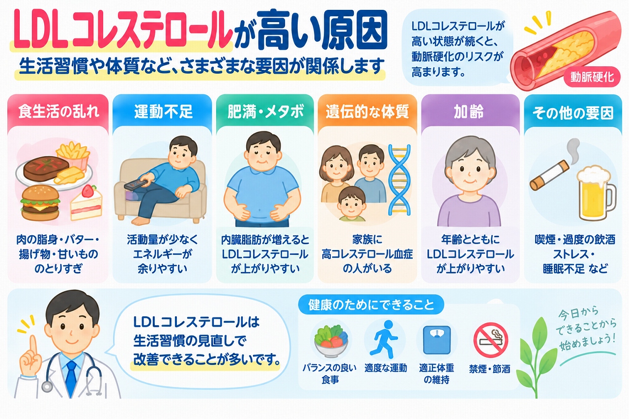 LDLコレステロールが高くなる原因を解説した医療インフォグラフィック。食生活の乱れ、運動不足、肥満、遺伝的な体質、加齢、その他の要因を6つのイラストで紹介。LDLコレステロールの増加と動脈硬化の関係、食事の改善、適度な運動、体重管理、禁煙などの対策を図解。