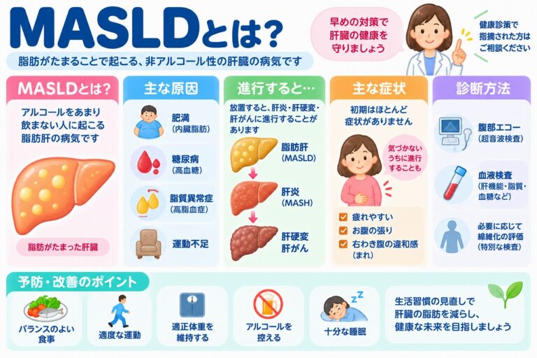 MASLDとは？代謝機能障害関連脂肪性肝疾患の原因・症状・検査・改善方法を図解