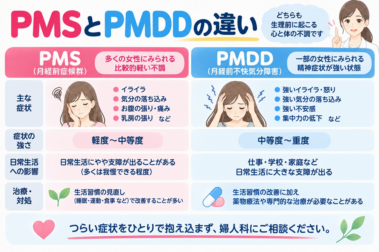 PMS（月経前症候群）とPMDD（月経前不快気分障害）の違いを比較したインフォグラフィック。生理前に現れるイライラ、気分の落ち込み、不安感などの症状について、症状の強さ、日常生活への影響、治療・対処法の違いを紹介