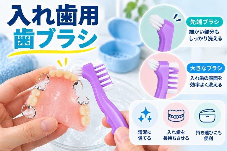 入れ歯用歯ブラシを使って部分入れ歯を清掃する様子と、大きなブラシと先端ブラシの使い分けを示した歯科イラスト