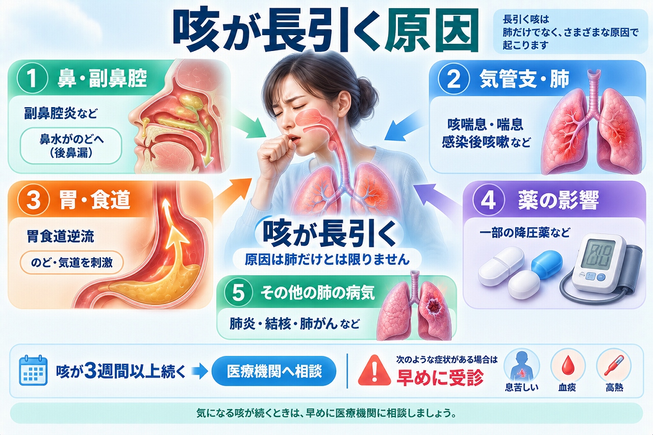 咳が長引く原因として、咳喘息や喘息、感染後咳嗽、副鼻腔炎や後鼻漏、胃食道逆流、一部の降圧薬、肺炎・結核・肺がんなどを示した図