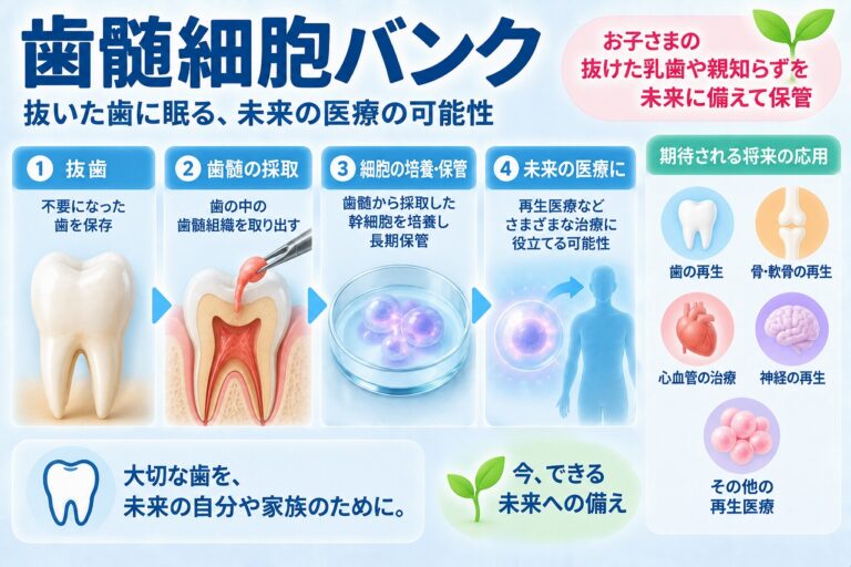 歯髄細胞バンクとは｜抜いた歯の幹細胞を将来に備えて保管