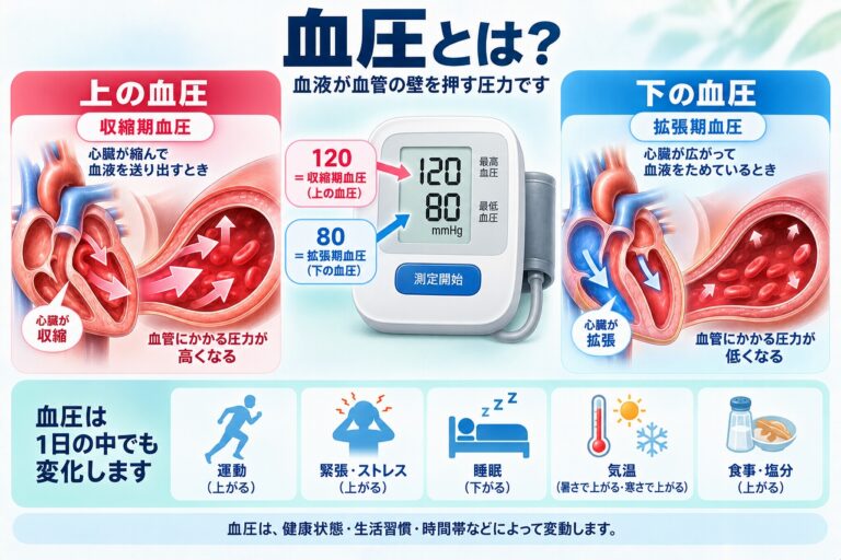 上の血圧・下の血圧の違い｜収縮期血圧と拡張期血圧とは