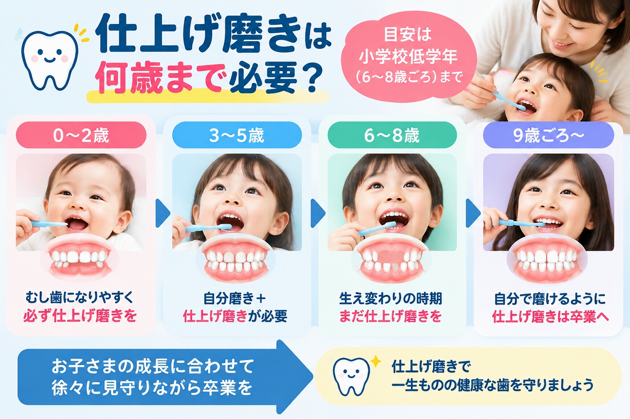 仕上げ磨きを0～2歳・3～5歳・6～8歳・9歳ごろ以降に分け、小学校低学年ごろまで保護者の仕上げ磨きが大切なことを示したイラスト