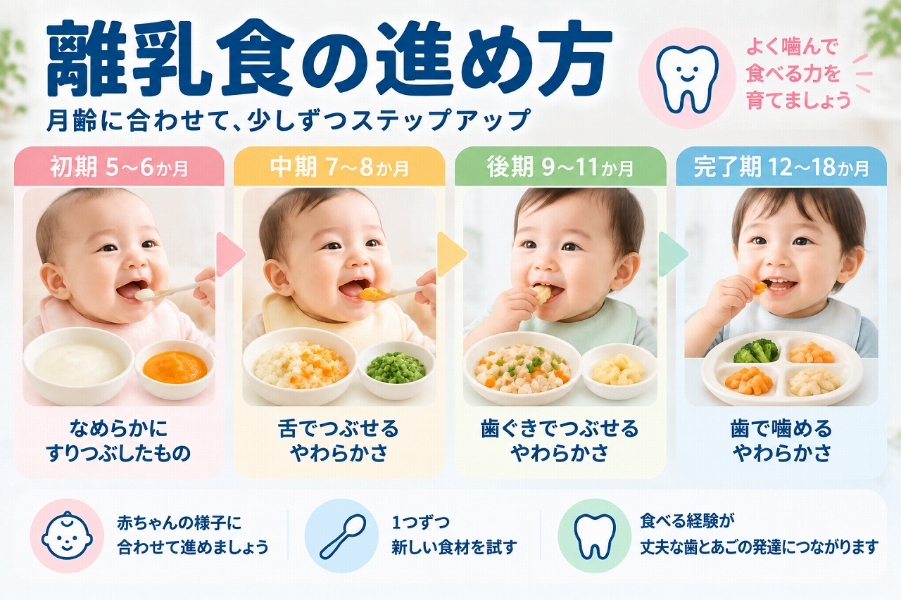 離乳食の進め方を初期・中期・後期・完了期に分け、月齢に合わせた食べ物の硬さや食べ方の変化を示したイラスト