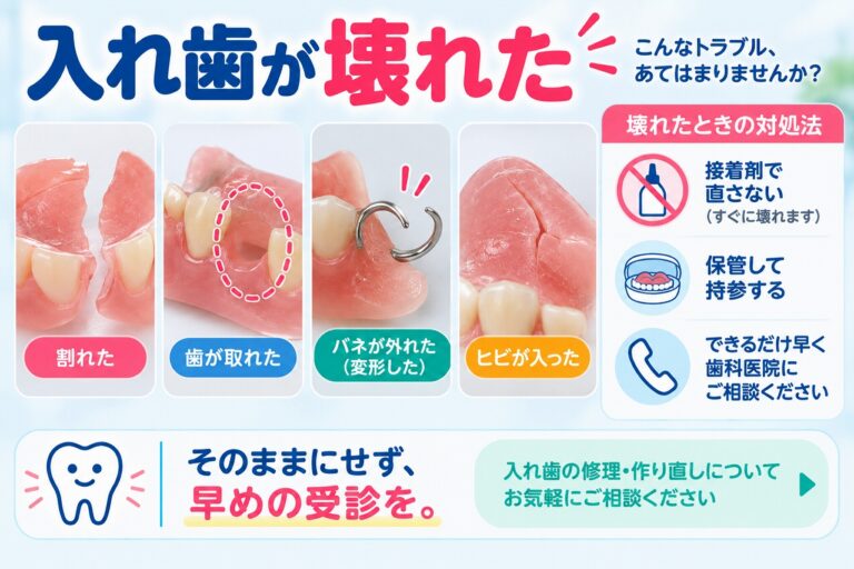 入れ歯が壊れたらどうする？｜割れ・ヒビ・人工歯やバネが外れたときの対処法