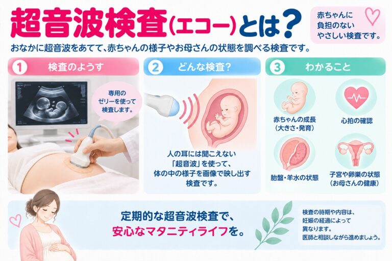 超音波検査（エコー）とは？｜妊娠中に分かる赤ちゃんの成長や心拍を解説