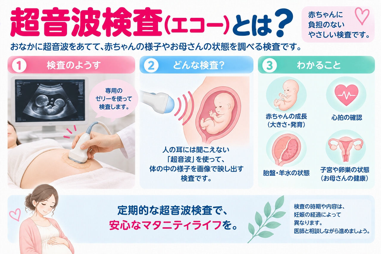 妊娠中の超音波検査（エコー）について解説したインフォグラフィック。超音波を使って子宮内の赤ちゃんを画像で確認し、胎児の大きさや発育、心拍、胎盤・羊水の状態などを調べる検査の仕組みを紹介