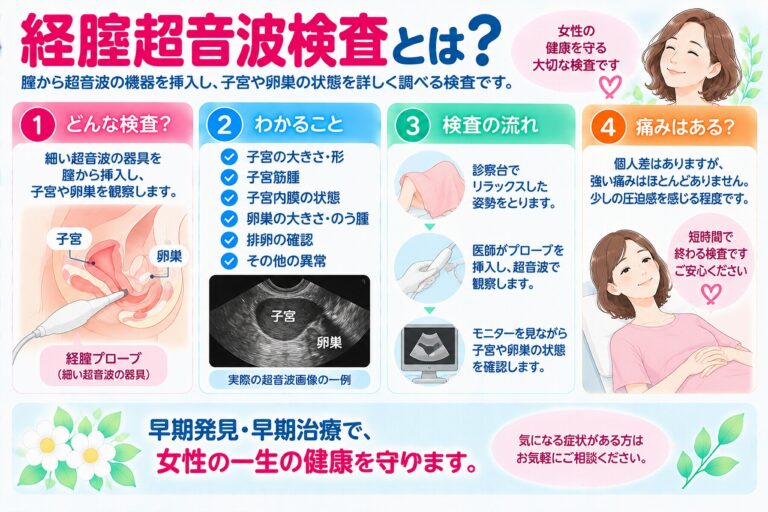 経腟超音波検査とは？｜検査方法・わかること・痛みについて解説