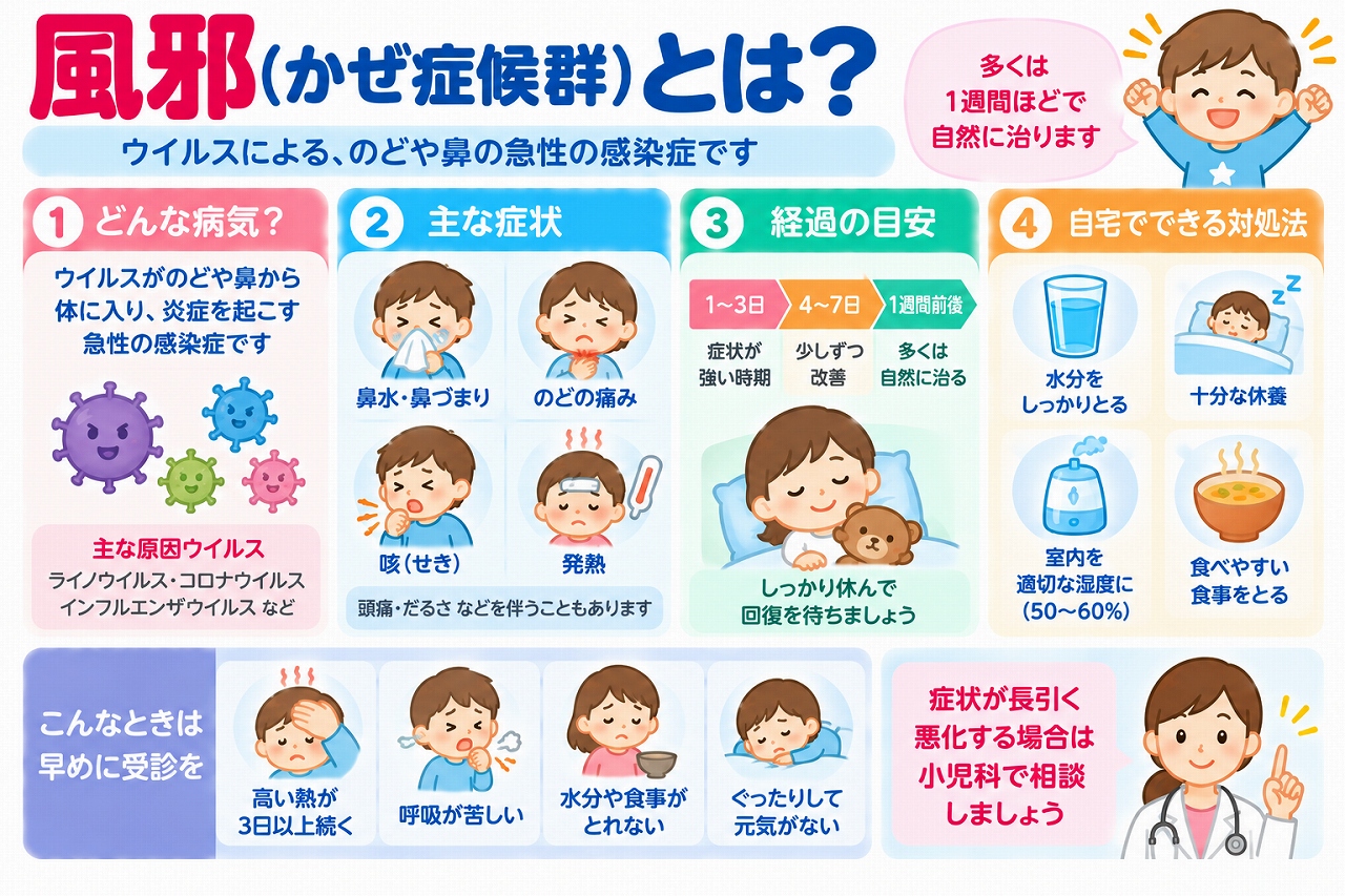 子どもの風邪(かぜ症候群)の原因や症状、経過、家庭での対処法を解説した医療インフォグラフィック。ウイルス感染による鼻水、鼻づまり、のどの痛み、咳、発熱などの症状と、回復までの一般的な経過を紹介。水分補給、十分な休養、室内の湿度管理、食事の工夫、発熱や呼吸困難などの受診の目安を図解。