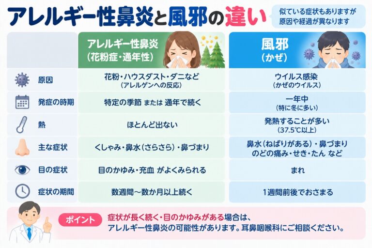 アレルギー性鼻炎と風邪の違いを比較したインフォグラフィック。花粉やハウスダストなどが原因のアレルギー性鼻炎と、ウイルス感染による風邪について、発症時期、発熱、くしゃみ・鼻水・鼻づまり、目のかゆみ、症状が続く期間などの違いを紹介