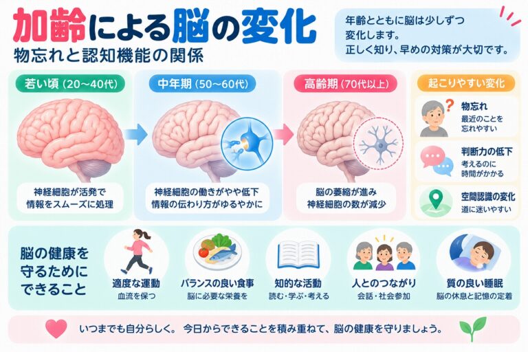 加齢による脳の変化とは？物忘れ・認知機能低下の仕組みと予防のポイントを図解