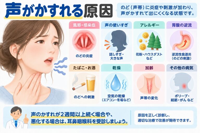 声がかすれる主な原因を解説したインフォグラフィック。風邪や感染症、声の使いすぎ、アレルギー、胃酸の逆流、たばこ・飲酒、乾燥、加齢、声帯ポリープなど、嗄声を引き起こす原因と受診の目安を紹介