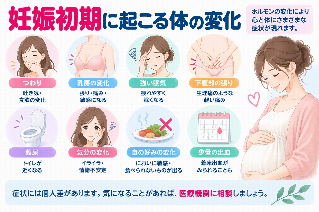 妊娠初期に起こる体の変化を解説したインフォグラフィック。つわり、乳房の張りや痛み、強い眠気、下腹部の張り、頻尿、気分や食の好みの変化、少量の出血など、妊娠初期にみられる主な症状を紹介