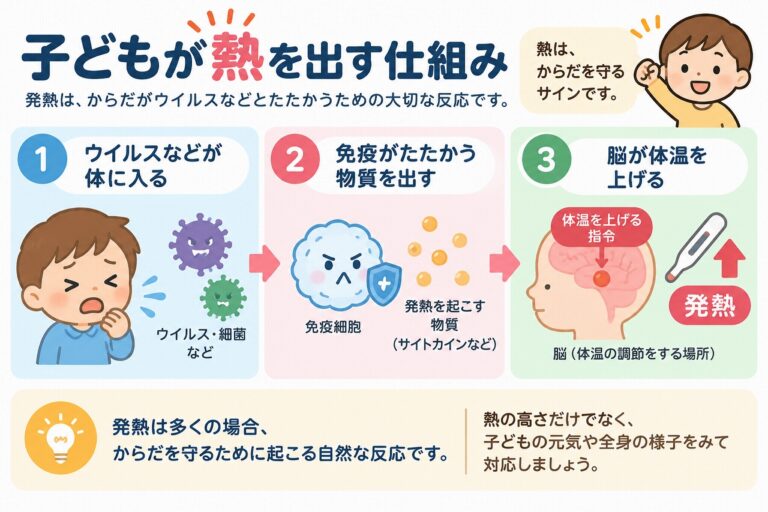 子どもが熱を出す仕組み｜発熱と免疫反応の関係をわかりやすく解説