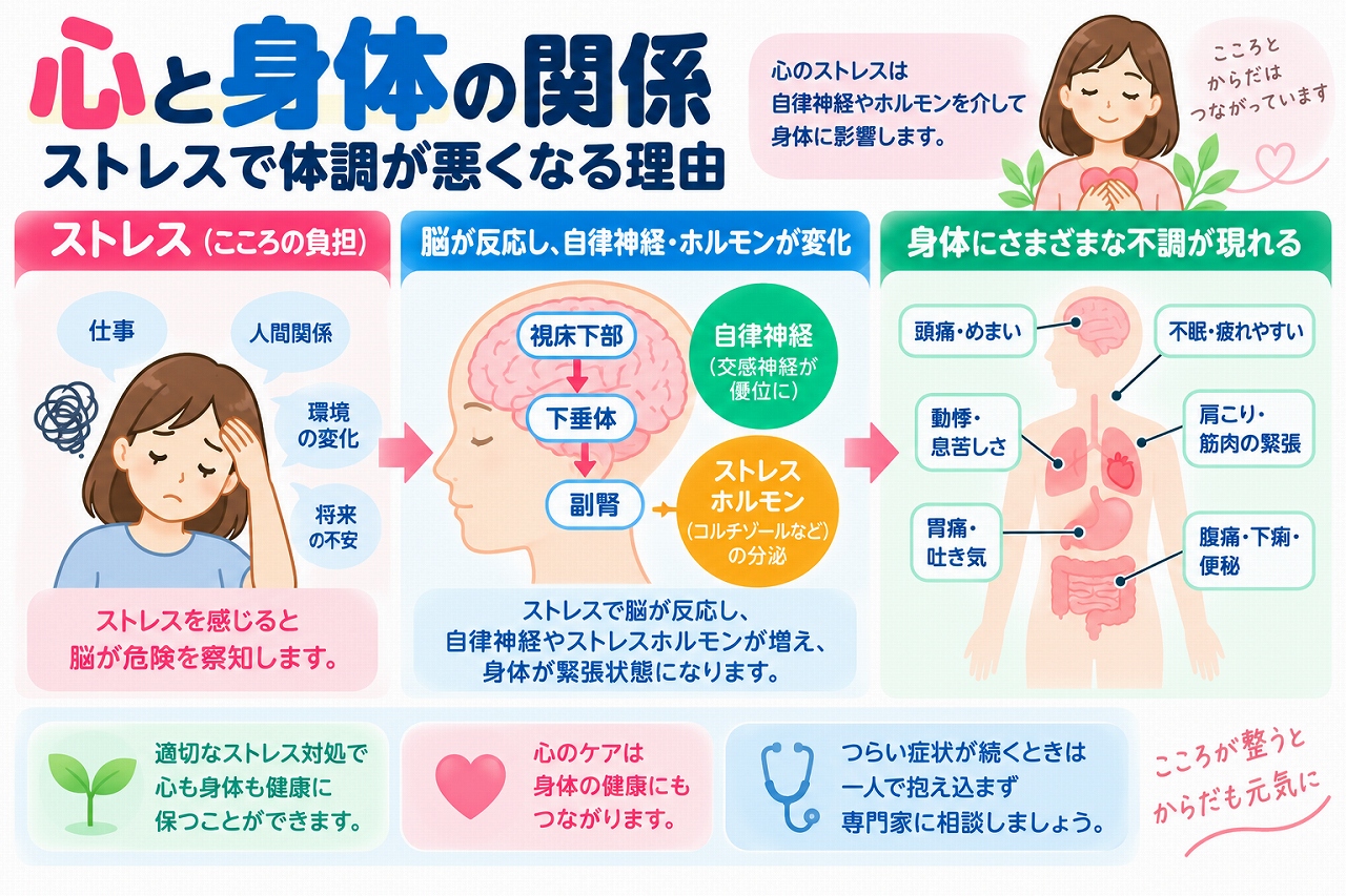 心と身体の関係やストレスによって体調が悪くなる仕組みを解説した医療インフォグラフィック。仕事、人間関係、環境の変化、将来への不安などの心理的ストレスが脳に伝わり、自律神経やホルモンの働きを変化させる過程を図解。視床下部・下垂体・副腎が関係するストレス反応と、頭痛、めまい、動悸、息苦しさ、胃痛、腹痛、下痢、便秘、不眠、肩こり、疲労感などの身体症状を紹介。