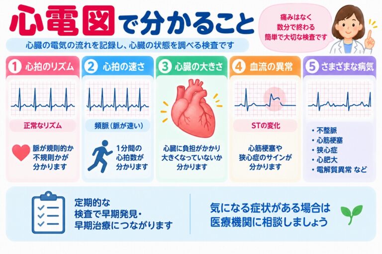 心電図検査で分かる主な異常を解説した医療インフォグラフィック。心拍のリズム、心拍数、心肥大を疑う所見、心筋虚血を疑うST変化、不整脈、心筋梗塞、狭心症、電解質異常などをイラストと心電図波形で紹介。検査の特徴や早期発見の重要性を図解。