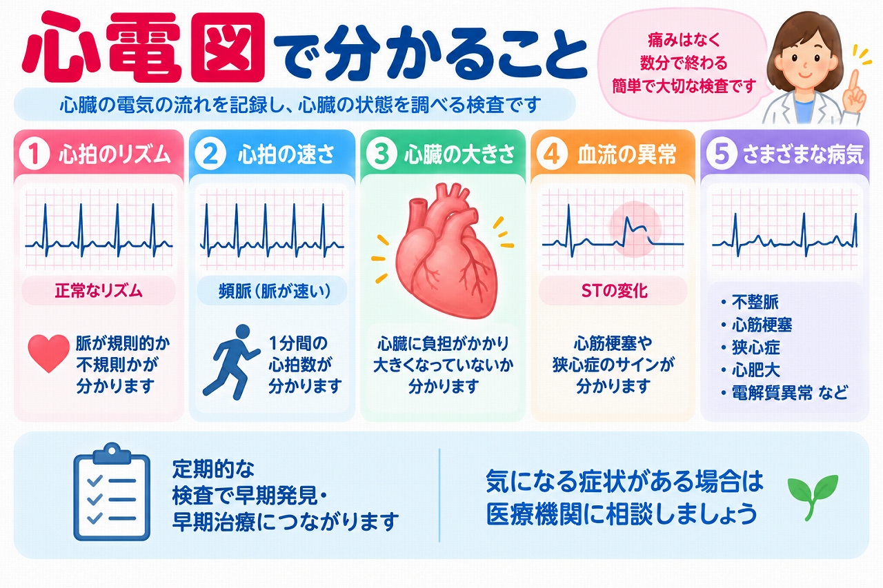 心電図検査で分かる主な異常を解説した医療インフォグラフィック。心拍のリズム、心拍数、心肥大を疑う所見、心筋虚血を疑うST変化、不整脈、心筋梗塞、狭心症、電解質異常などをイラストと心電図波形で紹介。検査の特徴や早期発見の重要性を図解。