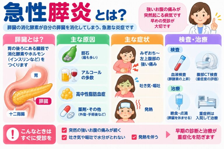 急性膵炎とは？原因・症状・検査・治療法と早期受診の重要性を図解