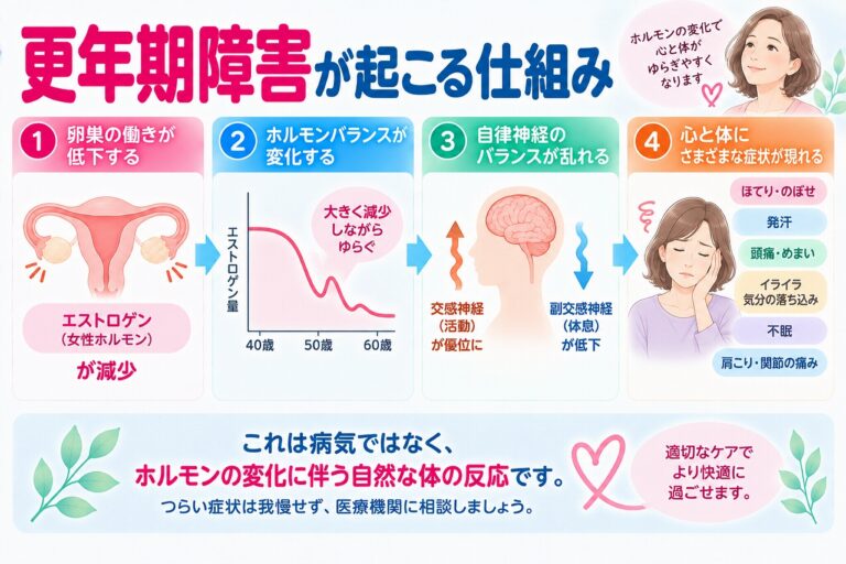 更年期障害が起こる仕組み｜女性ホルモンと自律神経の変化をわかりやすく解説