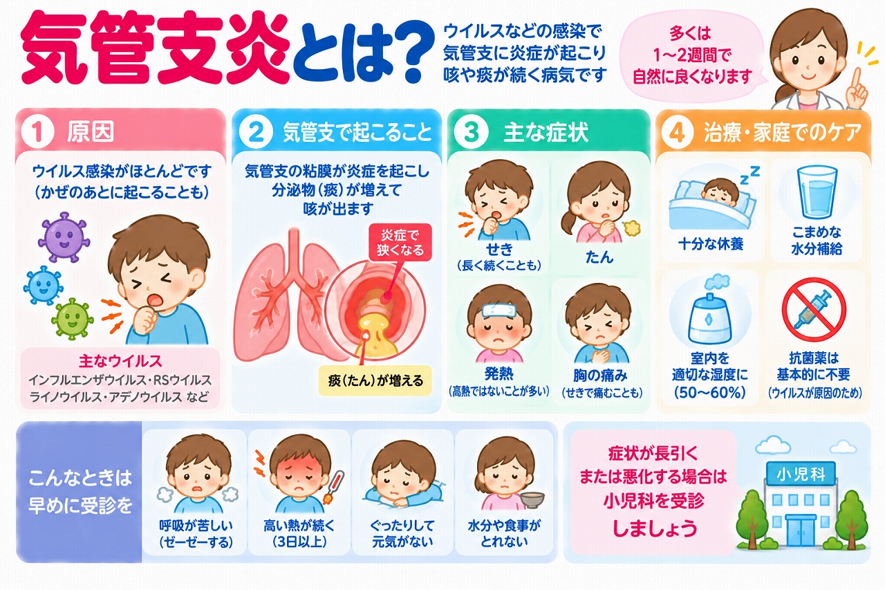 子どもの気管支炎の原因や症状、治療法を解説した医療インフォグラフィック。ウイルス感染によって気管支の粘膜に炎症が起こり、痰が増えて咳が出る仕組みを図解。咳、痰、発熱、胸の痛みなどの症状と、十分な休養、水分補給、室内の湿度管理、抗菌薬が通常は不要であること、受診の目安を紹介。