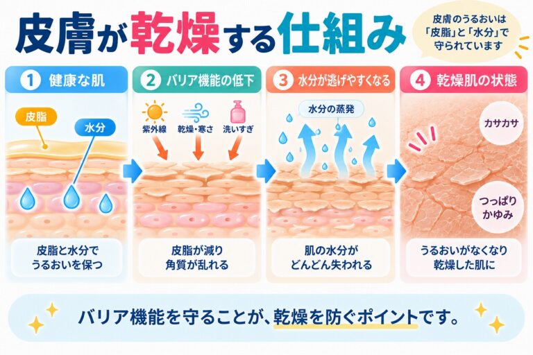 皮膚が乾燥する仕組みを、健康な肌では皮脂や角質層が水分を保つのに対し、紫外線・乾燥・寒さ・洗いすぎなどでバリア機能が低下すると水分が蒸発し、カサつきやつっぱり、かゆみが現れる流れで示した図