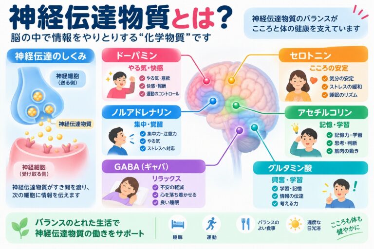 神経伝達物質とは？ドーパミン・セロトニンなど6種類の働きと役割を図解