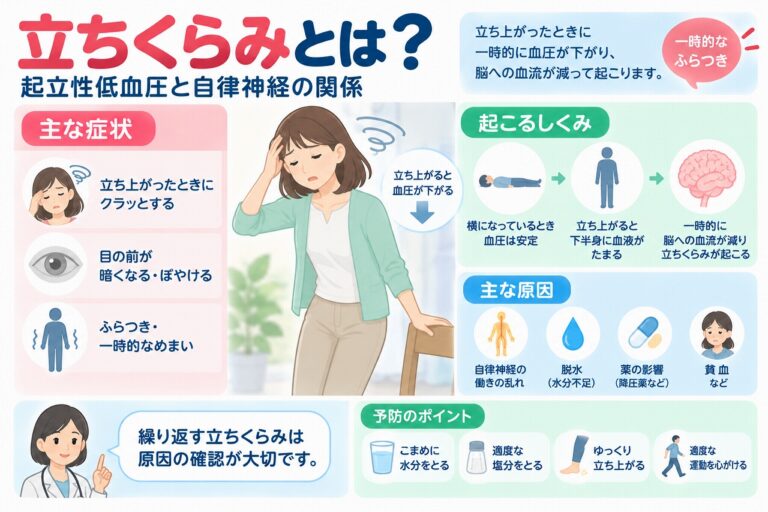 立ちくらみとは？起立性低血圧の原因・症状と自律神経の関係を図解
