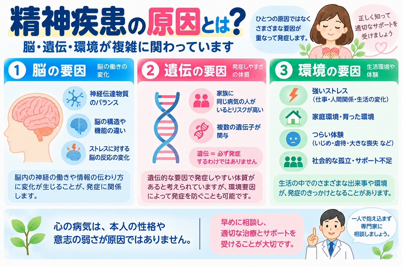 精神疾患の発症に関わる脳・遺伝・環境の3つの要因を解説した医療インフォグラフィック。脳の神経回路や神経伝達物質の働き、遺伝的な発症しやすさ、ストレスや家庭環境、つらい体験、社会的孤立などの環境要因をイラストで比較。精神疾患は単一の原因ではなく複数の要因が複雑に関係して発症することや、早期相談・適切な治療・心理社会的支援の重要性を紹介。