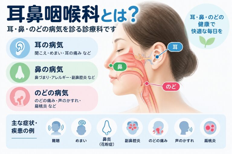 耳鼻咽喉科とは？｜耳・鼻・のどで診る主な病気と症状