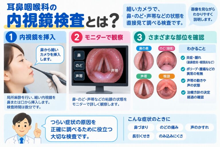 耳鼻咽喉科の内視鏡検査を解説したインフォグラフィック。細い内視鏡を鼻や口から挿入し、鼻腔・咽頭・喉頭・声帯などをモニターで観察して、炎症や腫れ、ポリープ、腫瘍、声帯の動きなどを確認する検査の流れを紹介