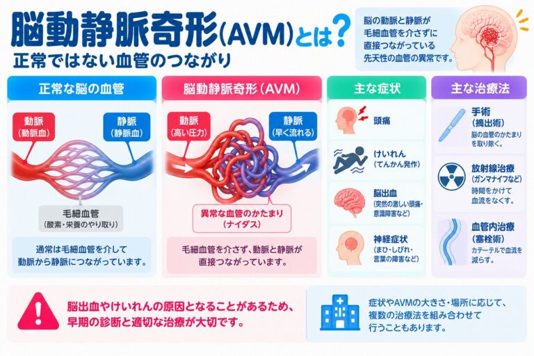 脳動静脈奇形（AVM）とは？異常な血管のつながり・症状・治療法を図解