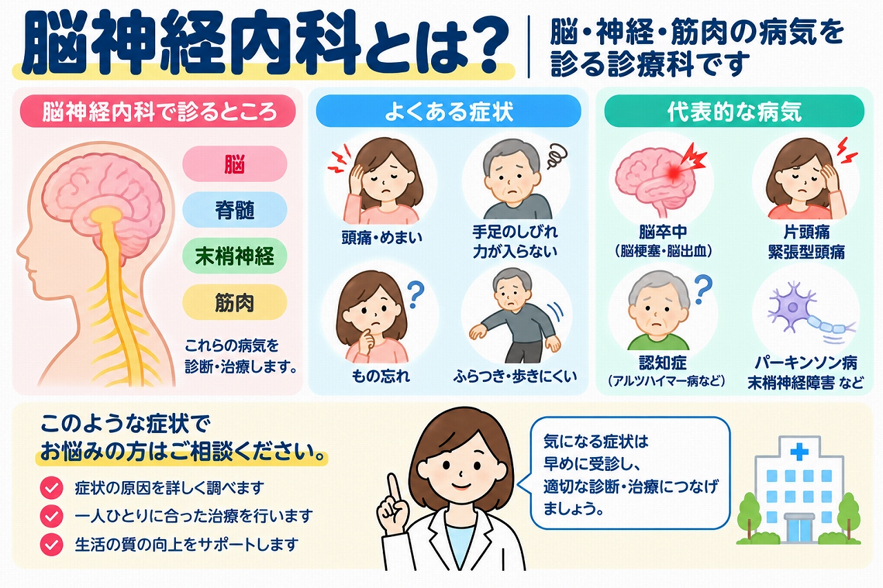 脳神経内科で診療する症状や病気を解説した医療インフォグラフィック。脳・脊髄・末梢神経・筋肉の働きと、頭痛、めまい、手足のしびれ、筋力低下、物忘れ、ふらつきなどの症状、脳卒中、片頭痛、認知症、パーキンソン病、末梢神経障害などの代表的な病気を図解。