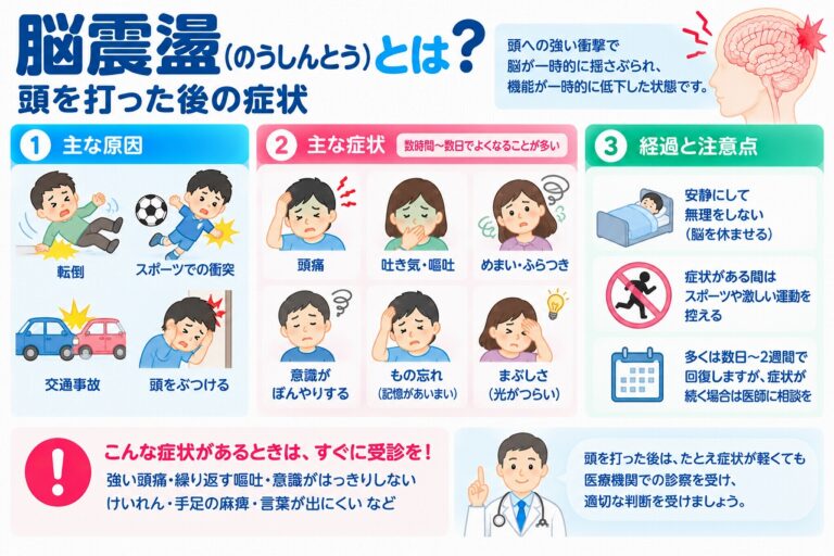 脳震盪（脳しんとう）とは？頭を打った後の症状・回復期間・注意点を図解