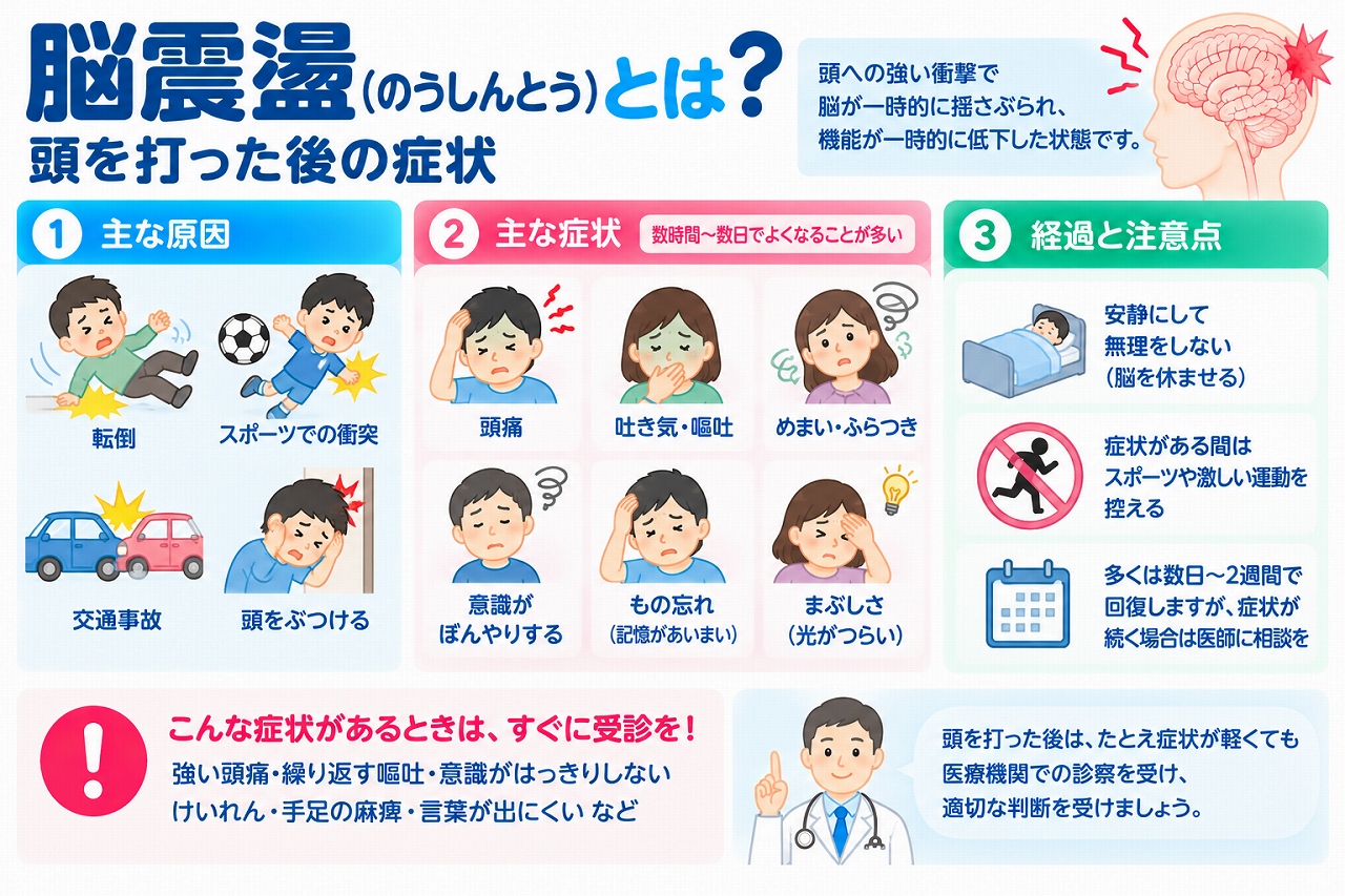 脳震盪（のうしんとう）の原因や症状、回復までの注意点を解説した医療インフォグラフィック。転倒、スポーツ中の衝突、交通事故、頭部打撲などによって脳の働きが一時的に障害される仕組みを紹介。頭痛、吐き気・嘔吐、めまい、ふらつき、意識のぼんやり感、記憶障害、光への過敏などの症状と、安静、運動制限、段階的な活動再開、緊急受診が必要な危険なサインを図解。