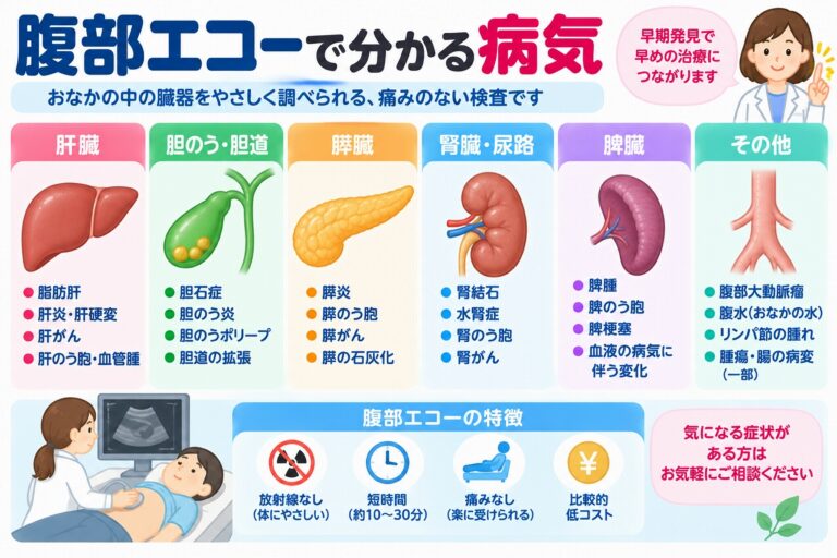 腹部エコーで確認できる代表的な病気を紹介した医療インフォグラフィック。肝臓、胆のう、膵臓、腎臓、脾臓などの検査対象と、脂肪肝、胆石、胆のうポリープ、腎結石、水腎症、腎のう胞、脾腫などを図解。放射線を使わずに臓器を観察できる腹部超音波検査の特徴も紹介。