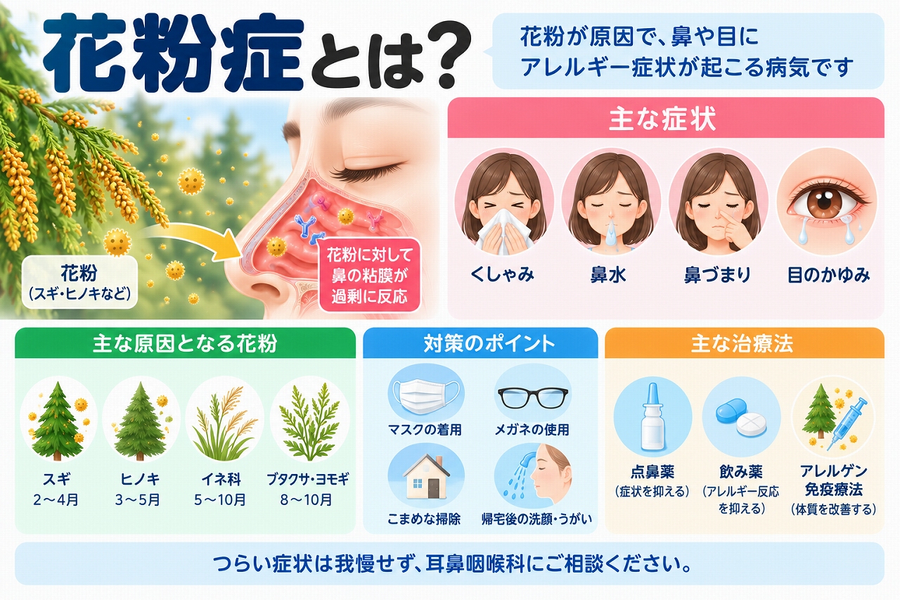 花粉症の原因や症状を解説したインフォグラフィック。スギやヒノキなどの花粉に対するアレルギー反応によって、くしゃみ、鼻水、鼻づまり、目のかゆみなどが起こる仕組みと、花粉対策や主な治療法を紹介